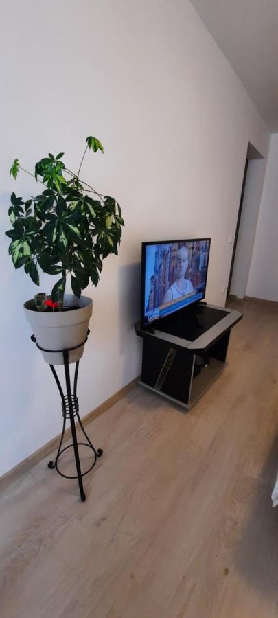 Farmec Studio Διαμέρισμα Κλουζ-Ναπόκα Εξωτερικό φωτογραφία